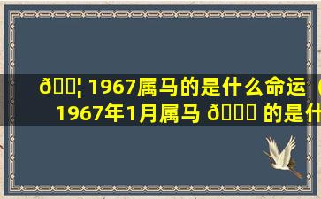 🐦 1967属马的是什么命运（1967年1月属马 🕊 的是什么命运）